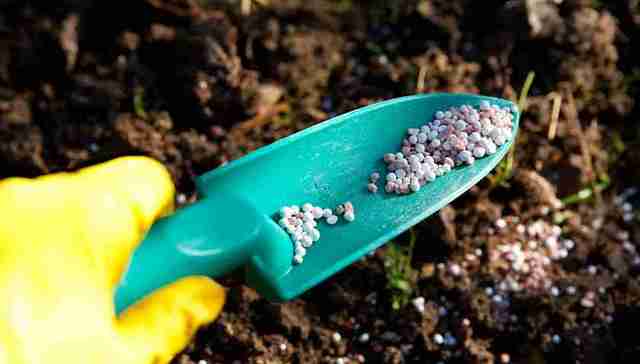 农业,投资,化学,肥料,粮食