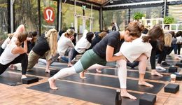 感官滋養(yǎng)時(shí)代到來(lái)，什么是觸動(dòng)消費(fèi)者的新密碼？