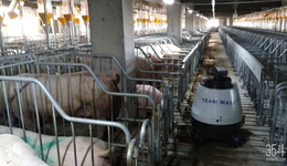 本轮猪周期拐点已现，3万亿生猪市场数字化价值几何？