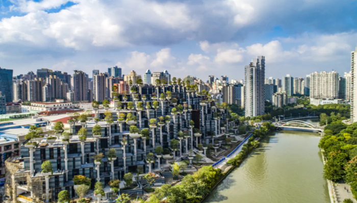 普陀区率先提出的“110100”目标是啥？