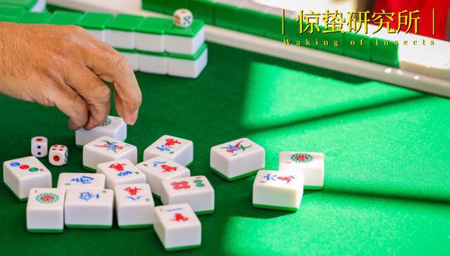 打麻将,生活,情感,春节,娱乐