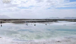 元氣森林今天撐起一個IPO，市值180億