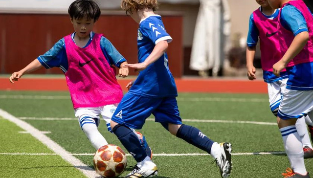 从“营”到“赢”！揭秘普陀体育人才培养密码→ 