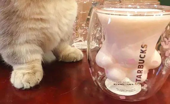 宠物营销,消费品牌