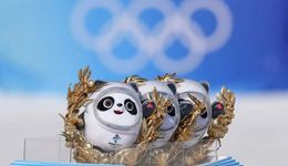 冰墩墩背后的快閃職業(yè)：LV代購、捏面人師傅都來了