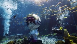 盲盒退潮后，原創(chuàng)IP被迫“出圈”