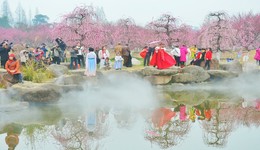 又见花开都江堰 都江堰市6条春季精品旅游线路等你来打卡