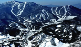 “大佬”为何爱滑雪？