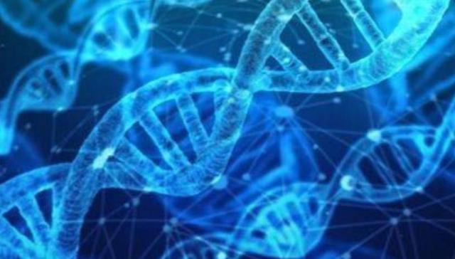 新原料,保健品,化妆品