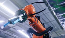 中国伺服的机会主义