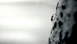 祥生控股组织架构升级的背后，不乏难言之隐