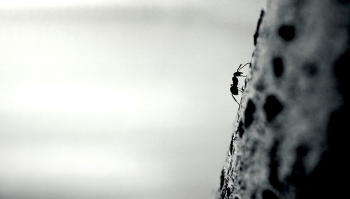 房地产,上市公司,祥生控股,人事变动