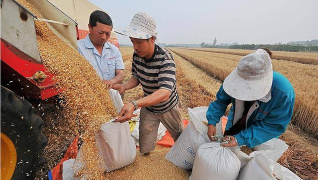 粮食经纪人,农村,下沉市场,互联网,高收入