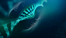 存儲(chǔ)新圖譜：DNA存儲(chǔ)的邊界與天地