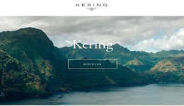 开云集团：将终止旗下品牌所有线上批发业务