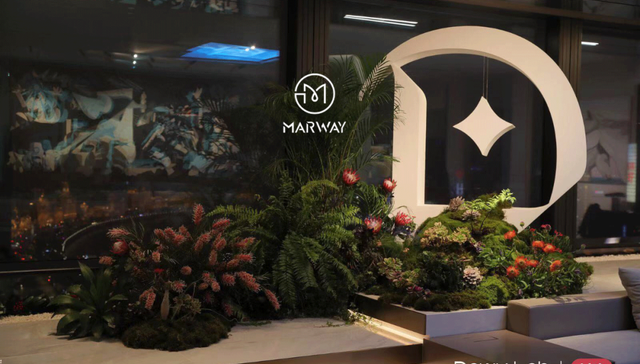 小红书,投资,消费,美妆,品牌