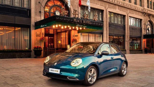 欧拉,汽车,女性,特斯拉,品牌