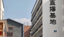 厂里做了半年“亏播”，我为啥要亏百万元做直播？