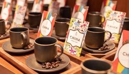 國產(chǎn)之光的背面，云南咖啡為“星巴克們”做嫁衣三十年