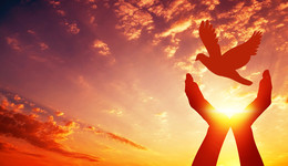 于平凡中见非凡力量——岱岳区“绽放活力 强区有我”榜样发布仪式侧记