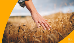 先正达风投的成绩单：参投25家农食科技企业，总投资超1亿美元