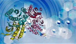 義翹神州每10股派100元，大手筆分紅背后誰是最大受益者？