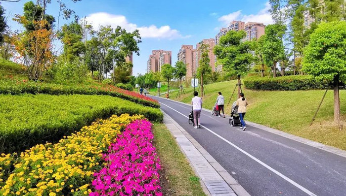 生态绿道连廊成网，林荫大道特色鲜明……宝山的“颜值”逐年提升