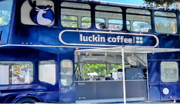 克萊因藍(lán)門店全國開花，再度沖上熱搜，為什么這么火？