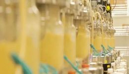 用細菌生產一切：合成生物學的衰落與崛起