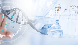 全球最严立法限塑令，会带来什么？