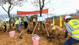 柳东新区滨江生态湿地公园开展植树节活动