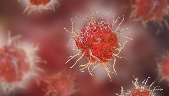 人体免疫,B细胞,抗体