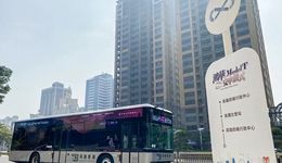 再见，苹果汽车