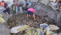 315晚会曝光之后，被点名的上市公司还好吗？