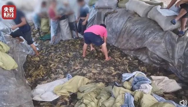 315,产品质量,消费者权益,插旗菜业,直播