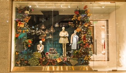 医美难万能  朗姿股份的生意还能“美”下去？