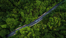 如何推进国家储备林市场化开发