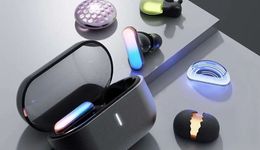 告別釘釘八個月后，無招“出招”：左手寵物，右手耳機(jī)