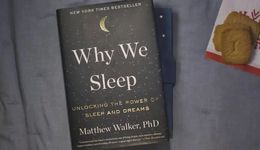 这届年轻人睡不着