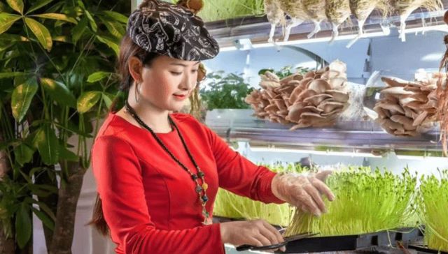 创业五年开了三家店  重庆辣妹子：跟着龙湖去赚钱