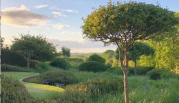 家电：套系化是方向但处于发展的起步阶段