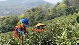 不负农时不负春，宁波电力先行护春耕