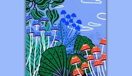 真菌會引起下一個CBD熱潮嗎？