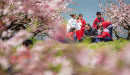 宁波宁海：桃花林里的“童诗会”