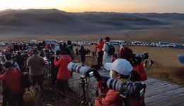 老法师的喜悲，春天最懂