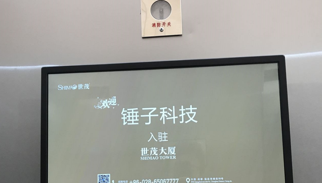 罗永浩,成都,创业,投资,锤子科技