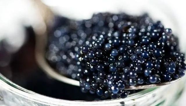 鱼子酱,高端食材