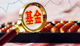 金鷹基金或失樊勇，后繼依靠何人？