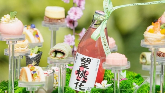 时尚,投资,品牌,消费,连锁化