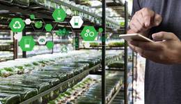 科技與農(nóng)業(yè)產(chǎn)生新火花，智慧種業(yè)繪就春播新藍(lán)圖